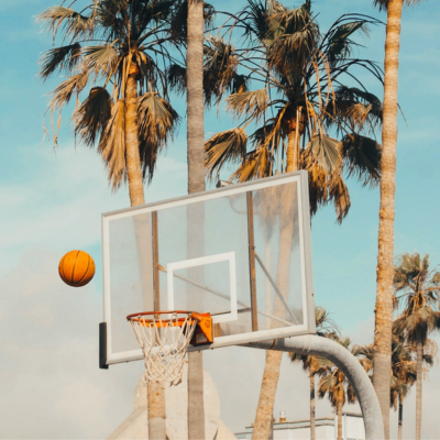 basketball hoop with palm trees in the background